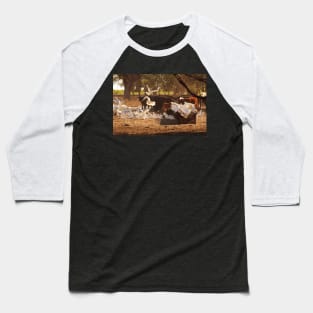 Cows & Cockatoos on an Australian Farm Baseball T-Shirt